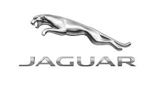 Jaguar OE-Logo