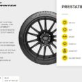 Productinformatie Pirelli P-Zero Winter