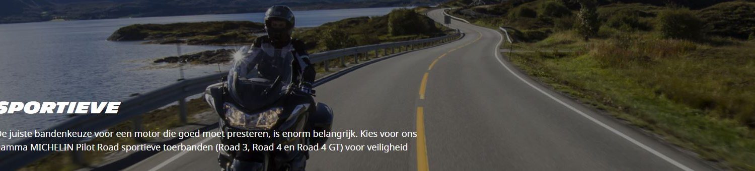 Michelin Sportief Banden