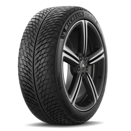 Michelin Pilot Alpin 5