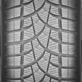 Dunlop SP Winter Sport 3D
