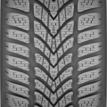 Dunlop Winter Sport 4D