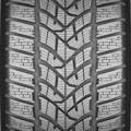 Dunlop Winter Sport 5