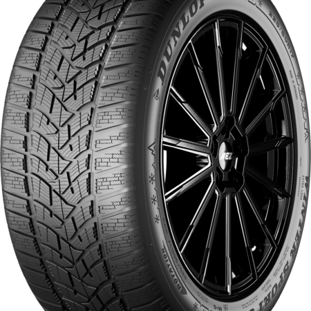 Dunlop Winter Sport 5