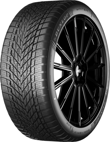 Dunlop Winter
