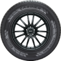 Pirelli Carrier