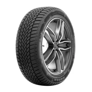 165/65R14 Radar Dimax Winter 79T EVc (m+s)(3PMSF)